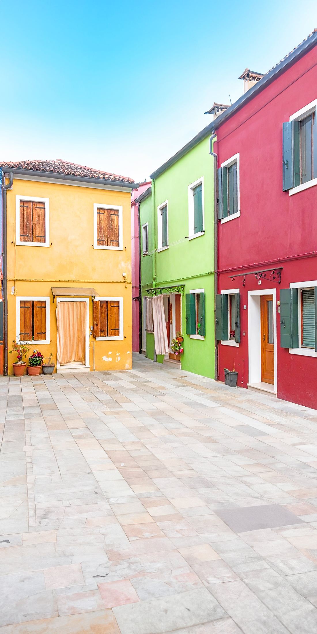 Vibrant Street backdrop